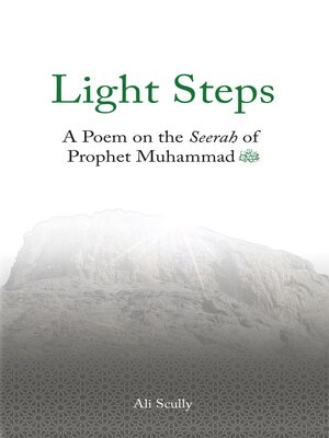 cover image of Light Steps